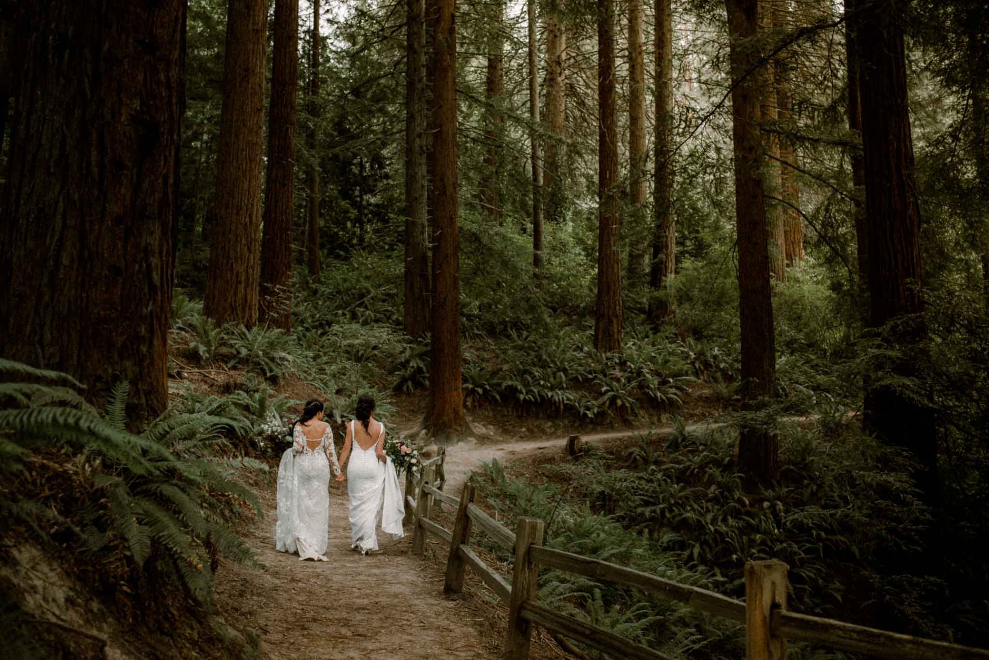 An intimate Redwood forest elopement wedding at Hoyt Arboretum on the Redwood Deck in Portland Oregon by wedding photographer Dionne Kraus