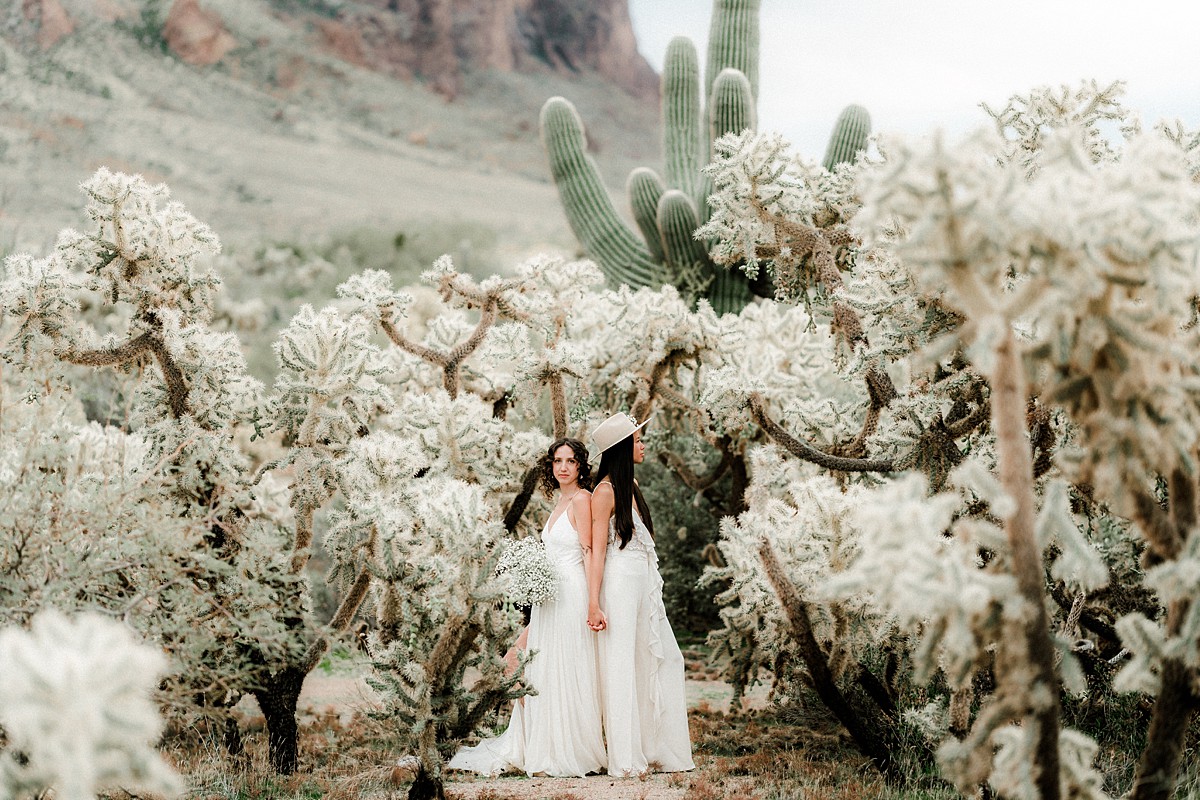 Two brides standing in their wedding dresses amongst the cacti in the arizona desert at Lost Dutchman State Park during their intimate elopement ceremony. Photography by Dionne Kraus, Oregon Wedding Photographer.